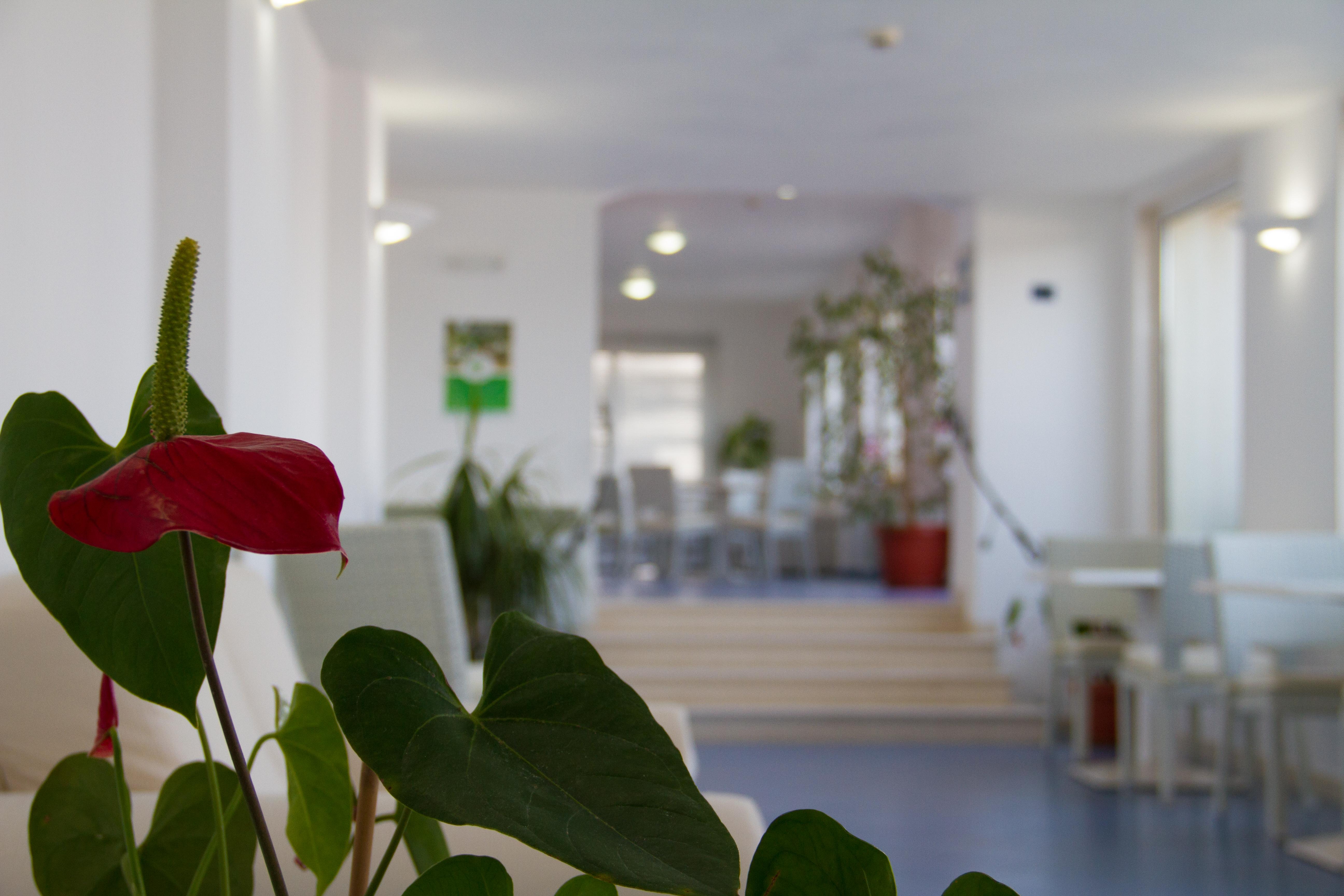 Hotel La Sorgente 萨维勒特里 外观 照片